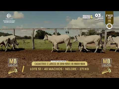 9� MEGA LEIL�O DA MB LEIL�ES