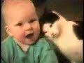 C’est parfois très bête un chat