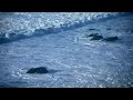 ocean HD test ocean HD test