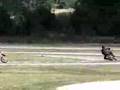 [MotoClub Caserta] Test ride Aprilia SXV 450 e 550