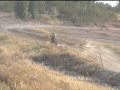 Orion agb 30 Vs Yamaha YZ Vs Kawasaki