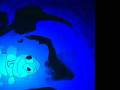 videos de Splenda's Work 2