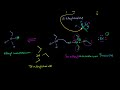 Amine in Sn2 part 2 Video Tutorial