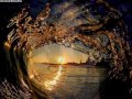 Onde foram parar meus sonhos?...