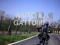 Il gatto il topo e gli incidenti in pista con le pitbike Il gatto il topo e gli incidenti in pista con le pitbike