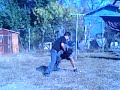 mi pelea mi pelea