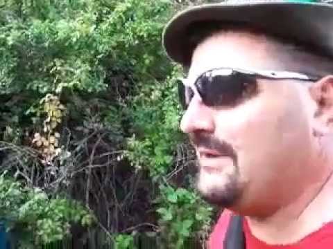 guarda il video