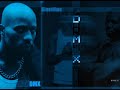 DMX  -  Flesh of my flesh , blood of my blood