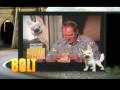  - MovieZen Video