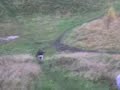 Ahmed Sliding Down Newport Hill