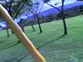 juh e luh no balan�o o/ parte 1