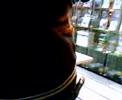 cazzate-di-gigio-il-salto-penospauroso.html