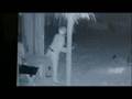 Robbers Sought In Nativity Attraction Theft
