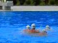 Synchronise swimmers
