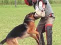 Grand Prix RCI SCBA 2008 2�me partie