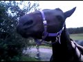 This is a video that the user has chosen on youtube