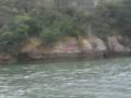 Traveling up the Urauchi River 1/8 Traveling up the Urauchi River 1/8