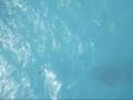 videos de First videos from the new kitecam: A backroll