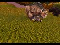 RWS - Tijeras guerreras 2 vs 2 Celta (druida balance) y Chakar (Shaman restauration) Team Scissors