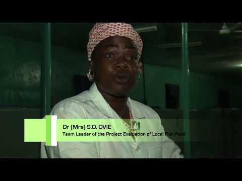 TILAPIA & CATFISH BREEDING TECHNOLOGY IN NIGERIA 