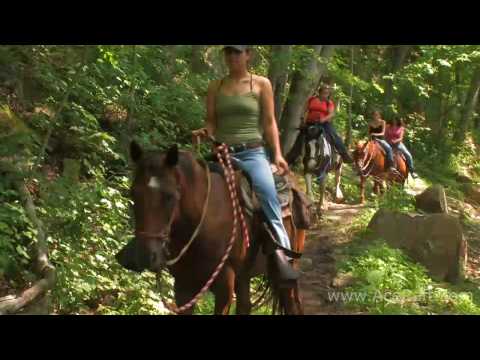 Adventure Family Vacation | ACE Adventure Resort Adventure Family Vacation | ACE Adventure Resort