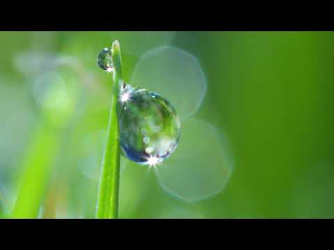 Adyashanti Video: The Essence of All Spiritual Teachings