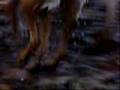 Assistir ao v�deo