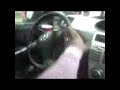 Monster the Driving Dog Monster the Driving Dog