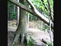 Hometrail-Biken