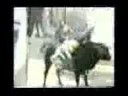 look at the girl with this bull