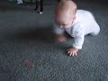 Ambrie chasing a laser light