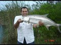 pesca de sabalo