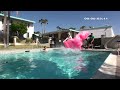 Water, Wingsuits, and Kitty-like Curiosity