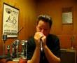 CALRAD DM-30 Dynamic Harp Mic