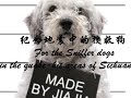 Soldier    (Sniffer dogs  )