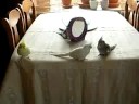 de vier valkjes op tafel