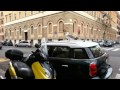 Roma - Ciccio, il gabbiano di Via Asiago