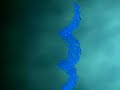 Transformation Of The World - Robert Schoch Foundation