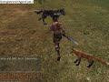 ラストカオス(LastChaos)動画