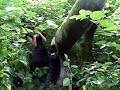 action girls