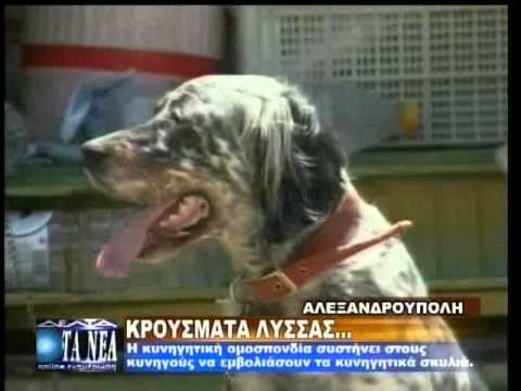 ΕΜΒΟΛΙΑΣΜΟΙ -