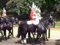 The Household Cavalry 2007