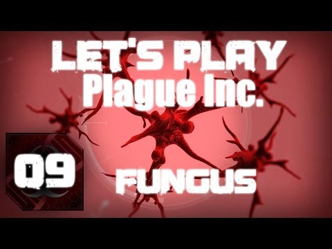 how to beat fungus plague inc