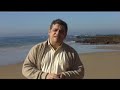 Nuevas tendencias para 2008   Feliz Año Nuevo