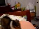 Macy\ Macy\