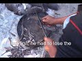 Mauritian ratatouille wanted by the FBI