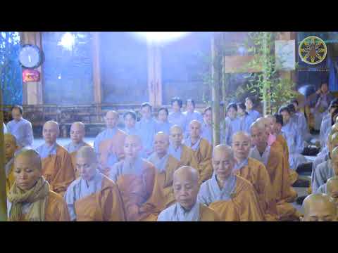 NIKAYA Thiền Quán - Nhìn Ra Thực Trạng Đau Lòng 1