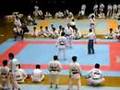 IBATA SENSEI NO TOKAIDAIKAI -JKA- JAPÃO