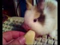 Enna Smile (ciccio story)