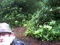 Fireball woodland - Airsoft - 6/9/08